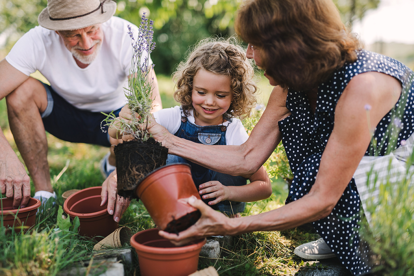 Estate Planning Management | Pankonin Financial Group MN